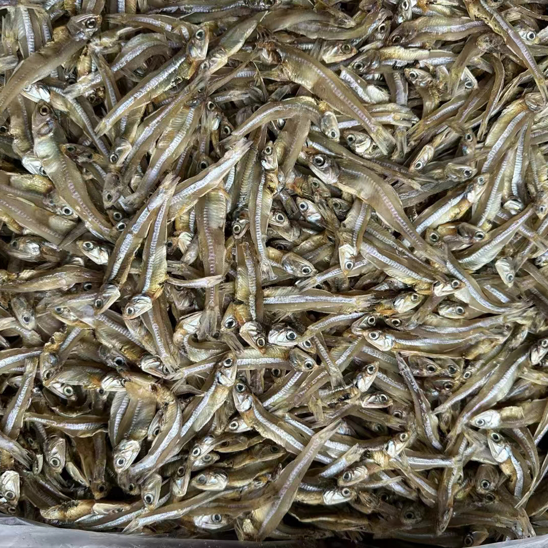 Sun Dried Anchovy