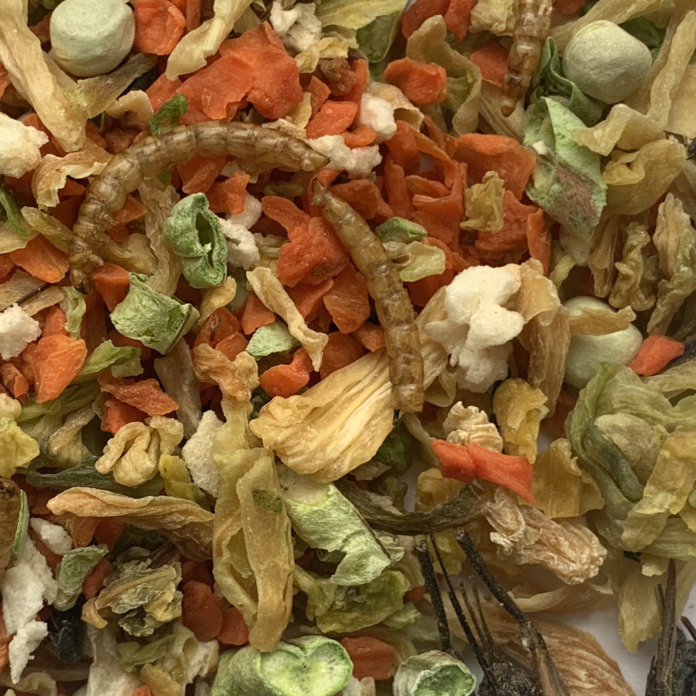 Veggie&Fruit and Insects Blend
