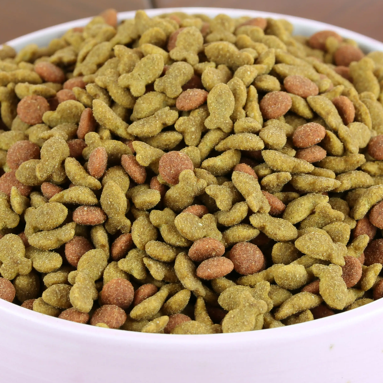 Cat Food