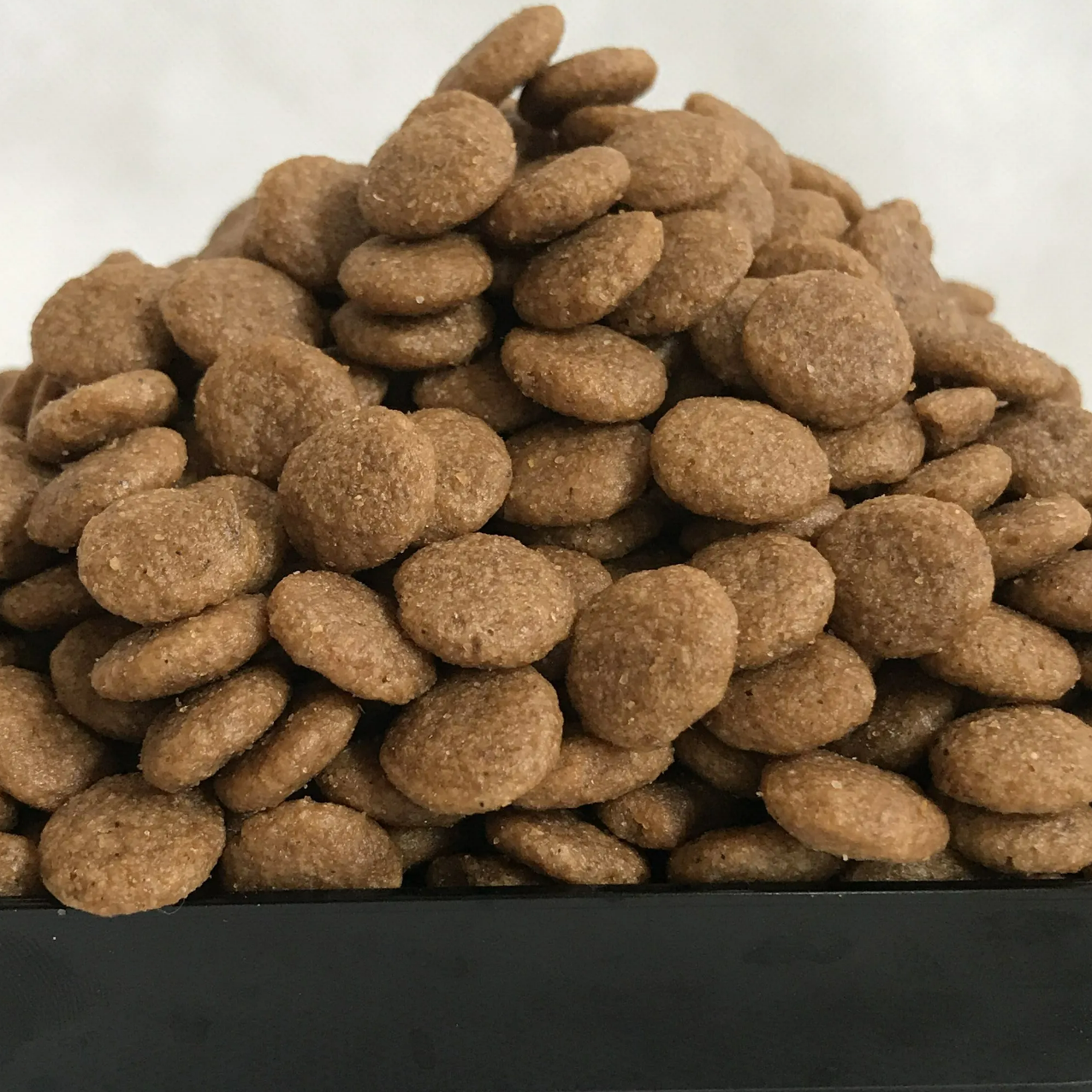 Dog Food